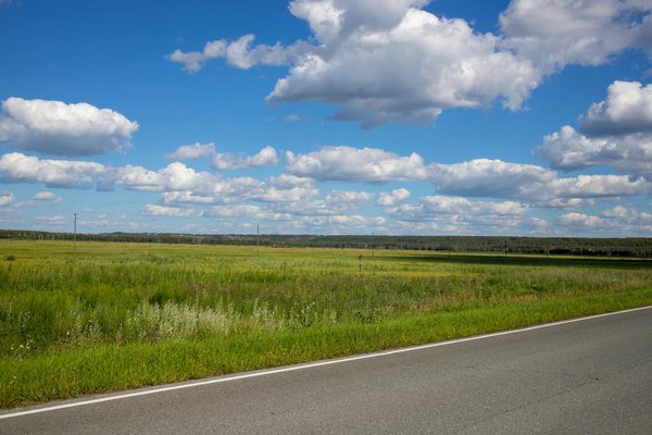 Essential safety guidelines for electrifying hybrid vehicle inspections